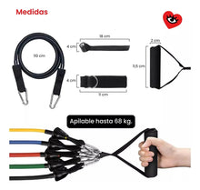Cargar imagen en el visor de la galería, Kit Bandas Elásticas con Manijas · Gimnasio en Casa · 11 Piezas 🔥35%OFF🔥 🛒